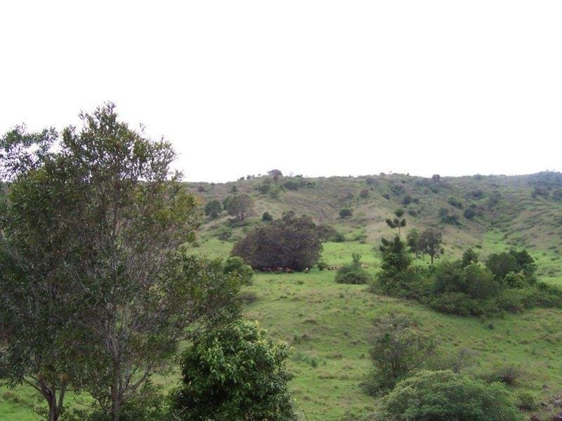 Lot 16 Little Flying Fox Road, Canungra QLD 4275