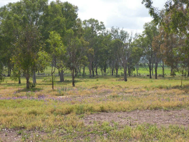 149 Sandy Creek Road, Bromelton QLD 4285