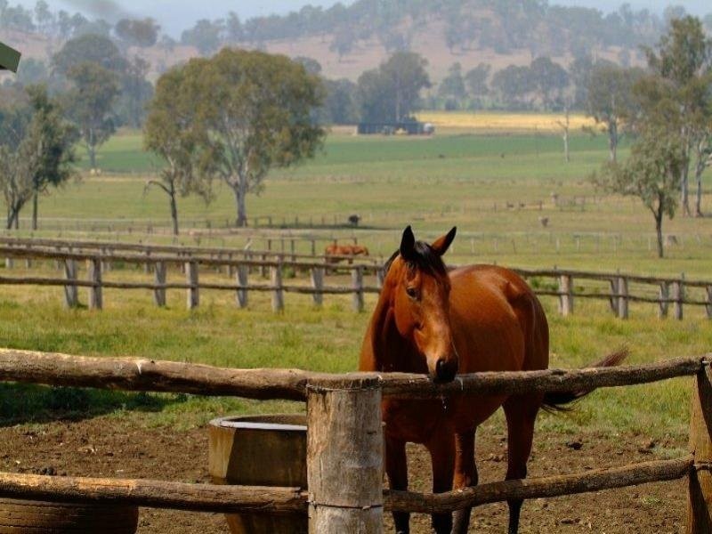 985 Kerry Road, Beaudesert QLD 4285