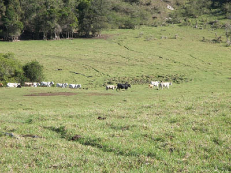 1649 Running Creek Road, Beaudesert QLD 4285