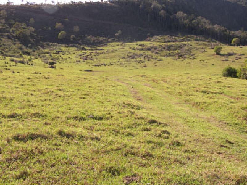 1649 Running Creek Road, Beaudesert QLD 4285