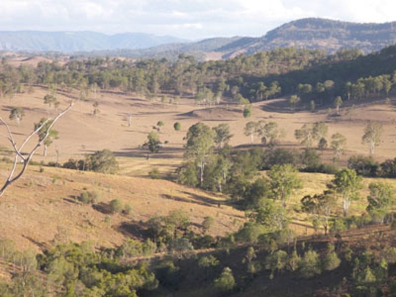 132 Merton Close, Kooralbyn QLD 4285