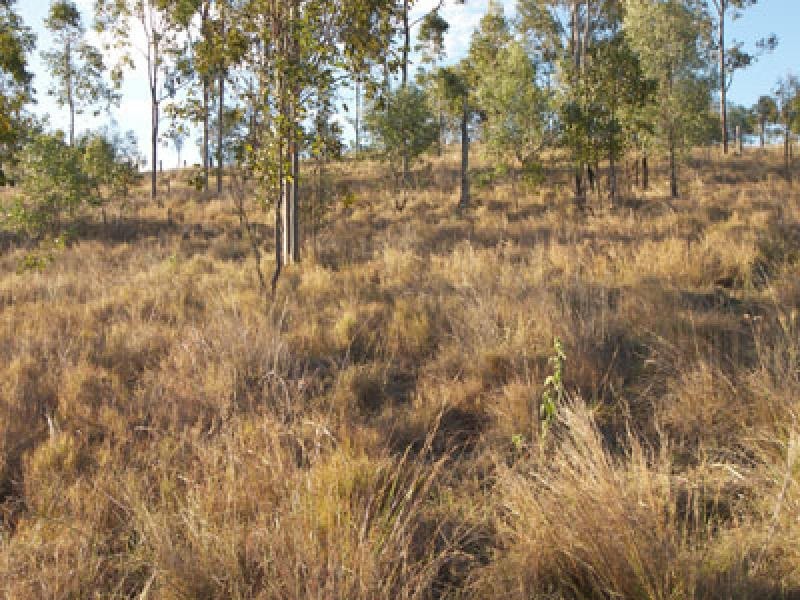 132 Merton Close, Kooralbyn QLD 4285