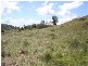 Lot 8 Philp Mountain Road, Rathdowney QLD 4287