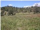 Lot 8 Philp Mountain Road, Rathdowney QLD 4287