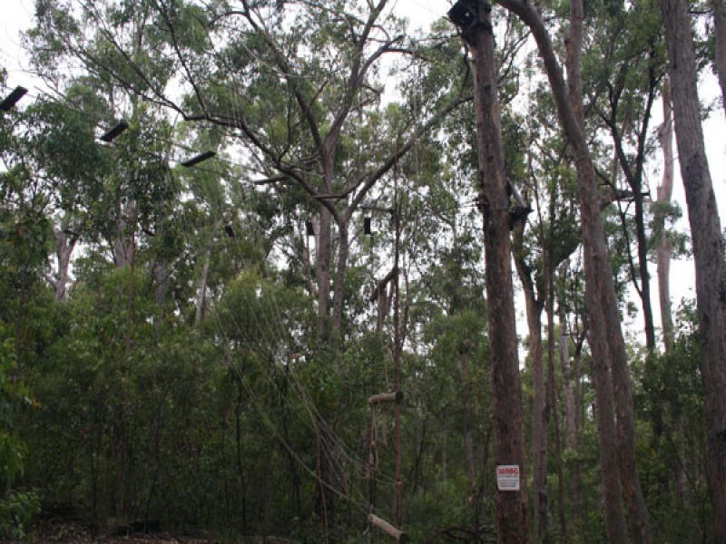 636 Tamrookum Road, Beaudesert QLD 4285