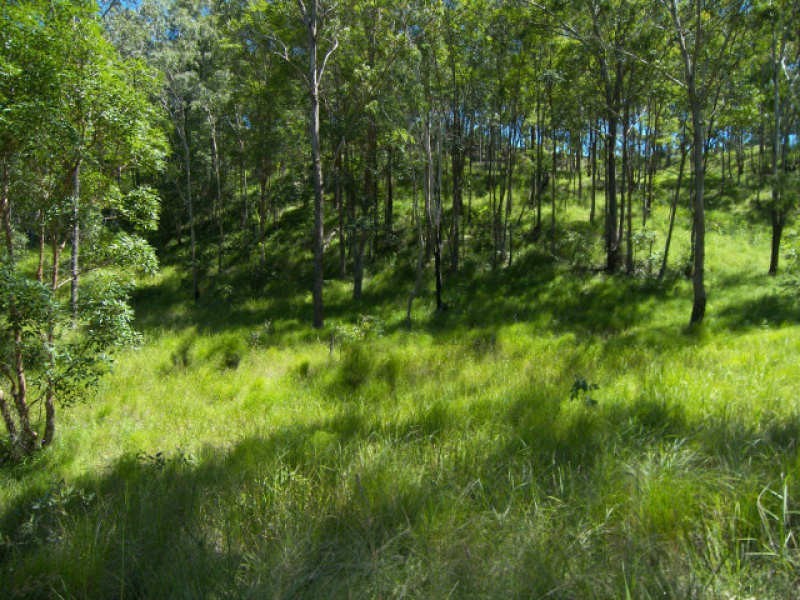 222 Yorston Rd Rathdowney, Beaudesert QLD 4285