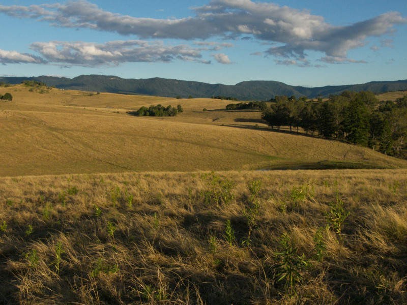 267 Mount Barney Road, Barney View QLD 4287