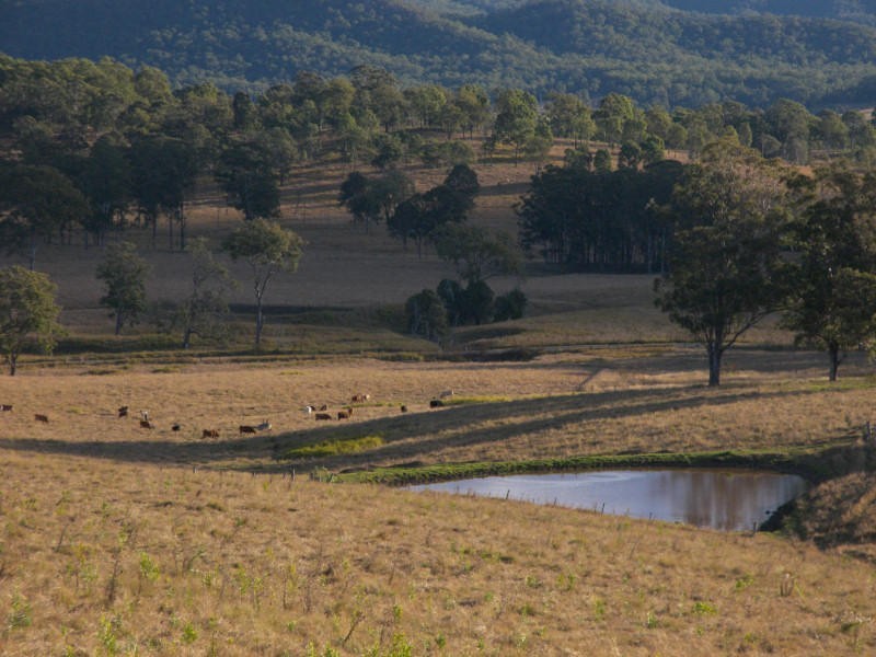 267 Mount Barney Road, Barney View QLD 4287