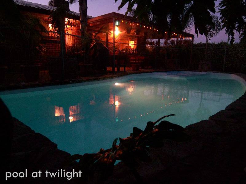 19 Castle Street, Modbury SA 5092