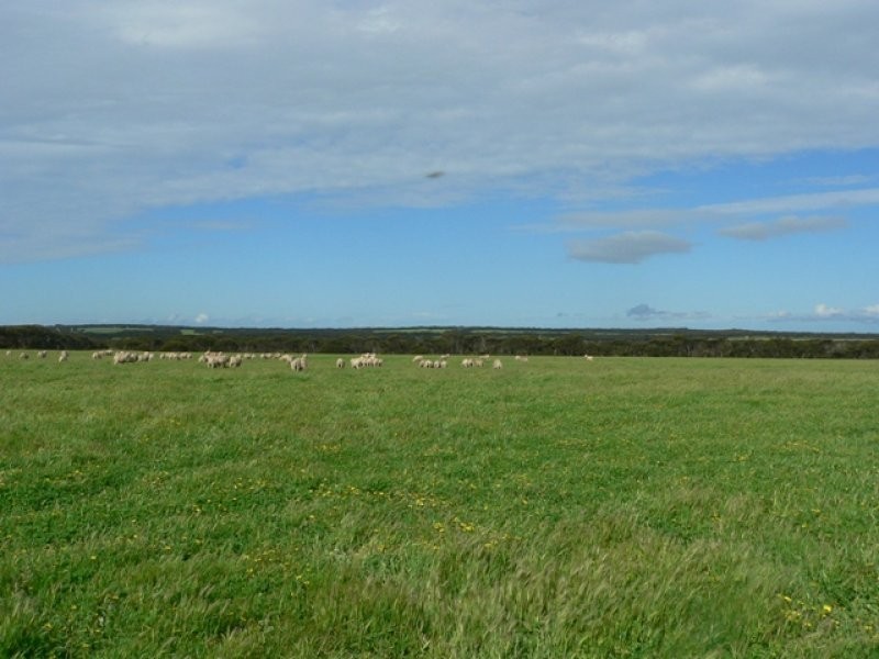 Section 68 Boundary Road, American River SA 5221