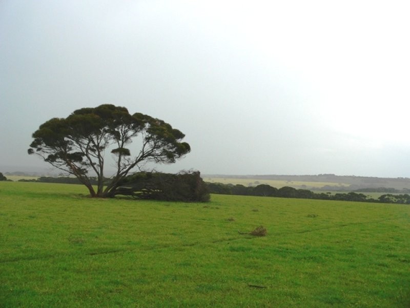 Section 61 Hog Bay and Boundary Roads, American River SA 5221