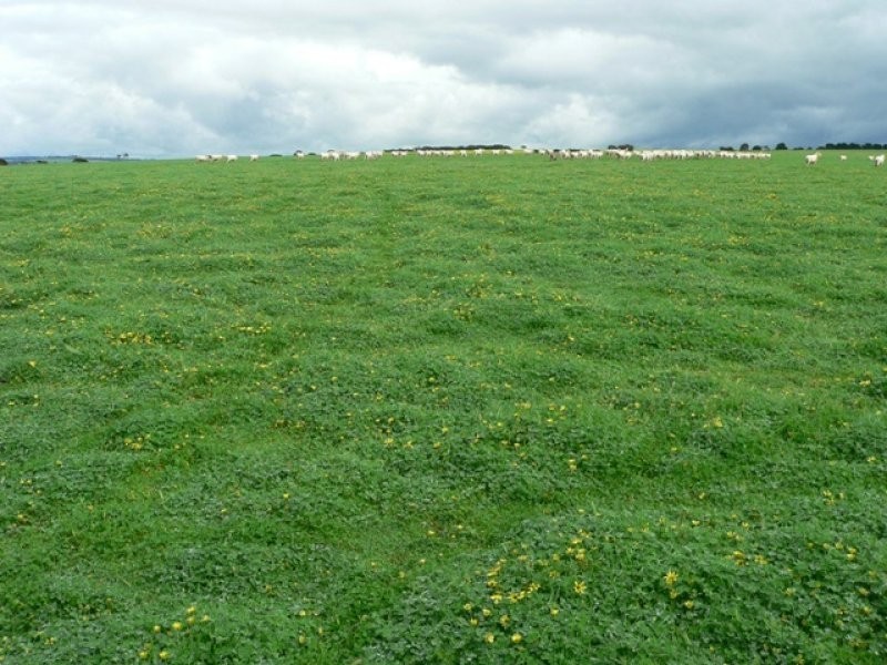 Section 61 Hog Bay and Boundary Roads, American River SA 5221