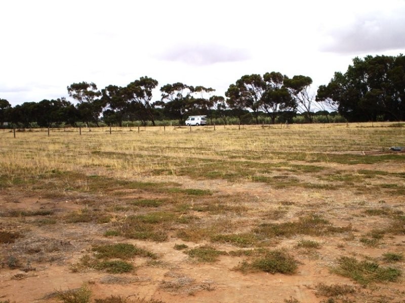 Lot 702 Fertile Avenue, Two Wells SA 5501