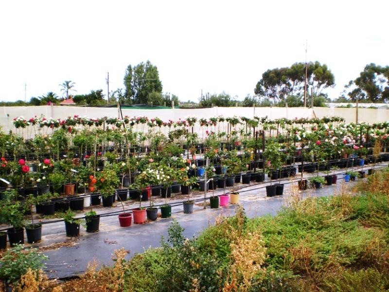 Lot 702 Fertile Avenue, Two Wells SA 5501