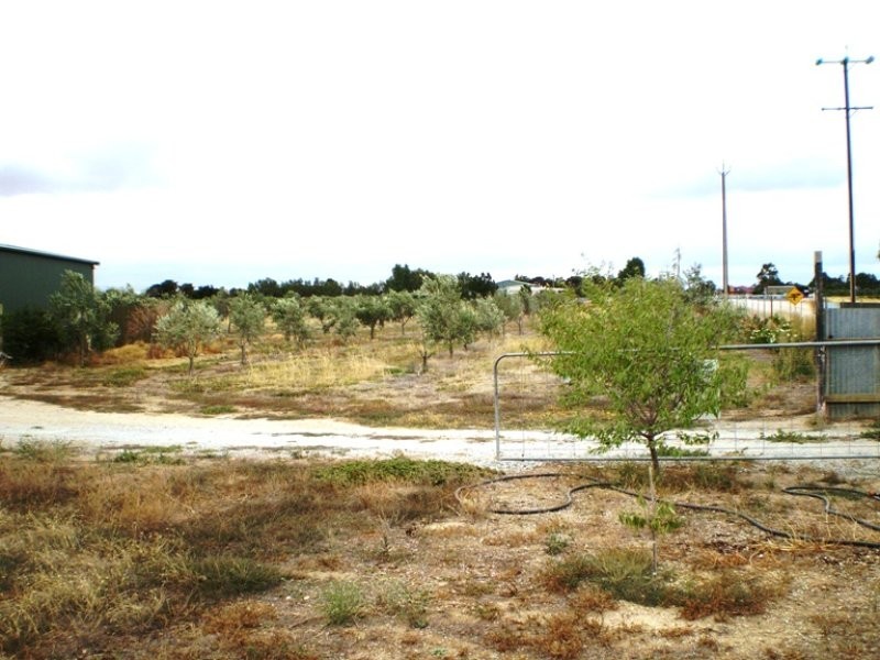 Lot 703 Bailey Road West, Two Wells SA 5501