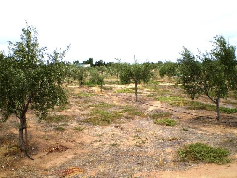 Lot 703 Bailey Road West, Two Wells SA 5501