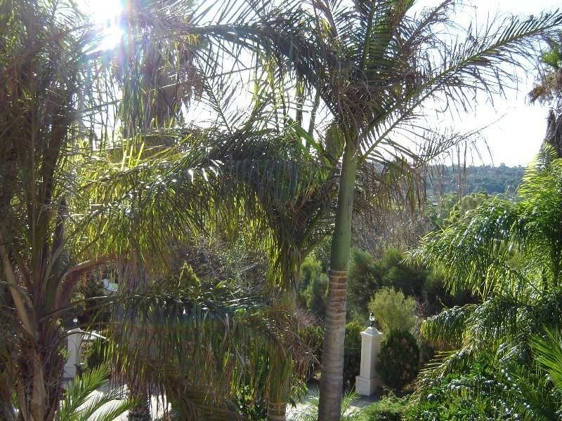 30 Clement Road, Athelstone SA 5076