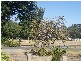 29 Cameron Road, Mount Barker SA 5251