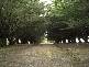 Lot 1 Rowe Road, Echunga SA 5153