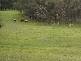 Lot 1 Rowe Road, Echunga SA 5153