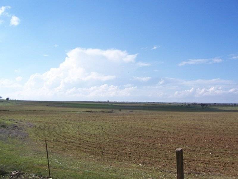 Monarto SA 5254