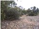 Lot 718 Young Road, Kanmantoo SA 5252