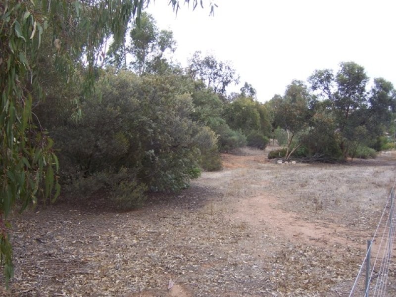 Lot 718 Young Road, Kanmantoo SA 5252