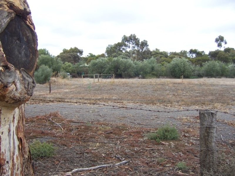 Lot 719 Cook Street, Kanmantoo SA 5252