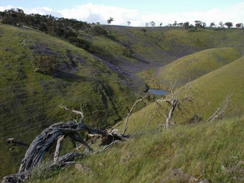 Sect 2005 Range Road, Rockleigh SA 5254