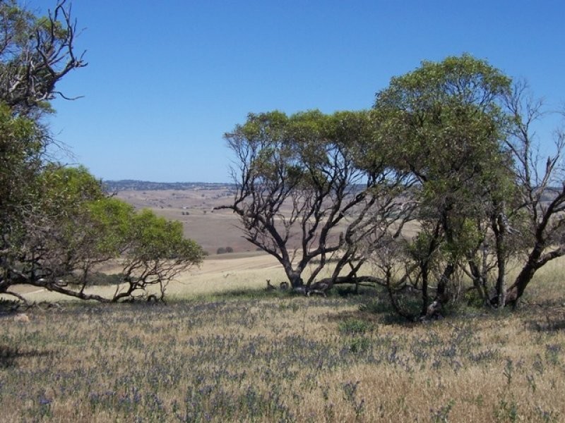 Sect 2005 Range Road, Rockleigh SA 5254