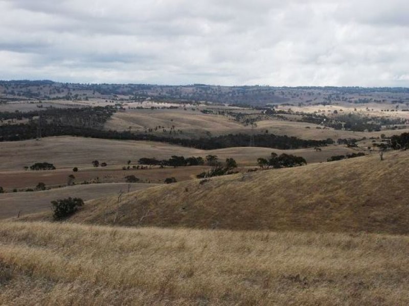 Sect 2005 Range Road, Rockleigh SA 5254