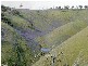 Sect 2005 Range Road, Rockleigh SA 5254
