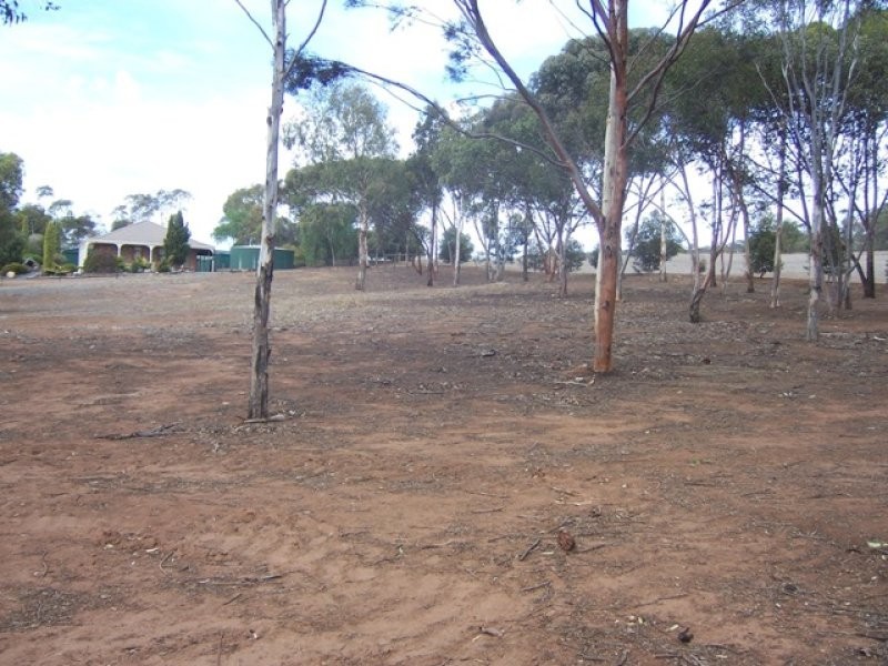 Lot 102 Kent Road, Kanmantoo SA 5252
