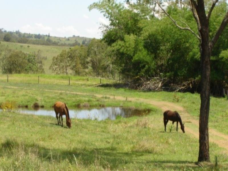 195 Zingleman Road, Allandale QLD 4310