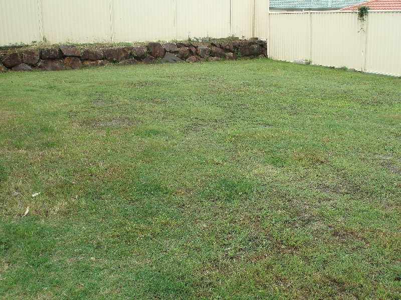 62 Tiger Dr, Arundel QLD 4214