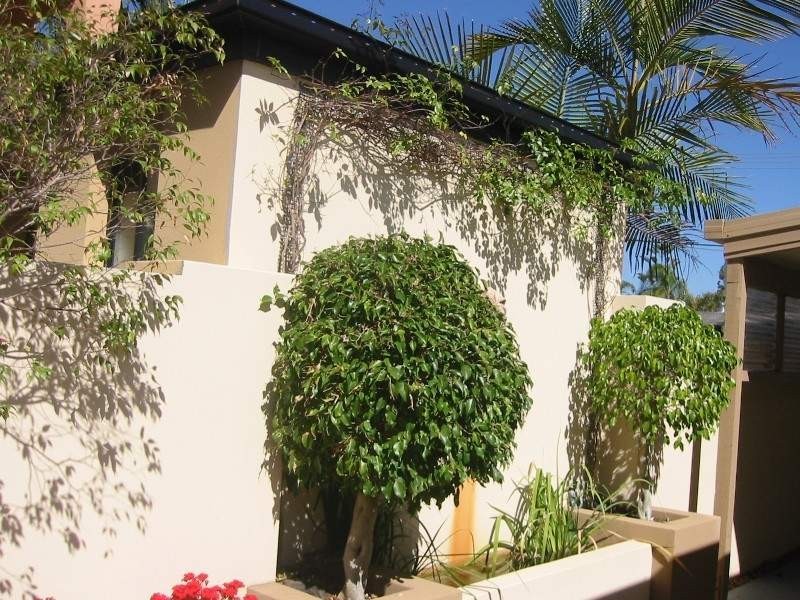 9 Tarni Avenue, Palm Beach QLD 4221