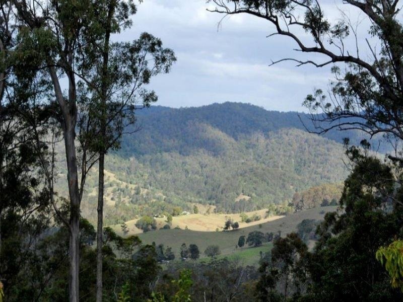 123 Mt Nimmel Road, Austinville QLD 4213