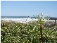 432 The Esplanade, Palm Beach QLD 4221