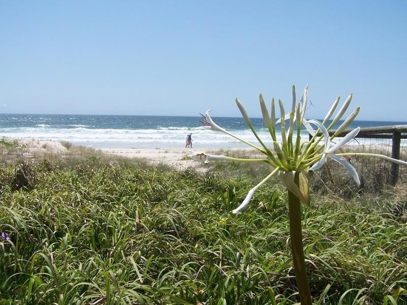 432 The Esplanade, Palm Beach QLD 4221