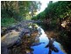 472 Tallebudgera Creek Road, Tallebudgera Valley QLD 4228