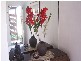 31 Lutana Avenue, Miami QLD 4220