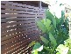 31 Lutana Avenue, Miami QLD 4220