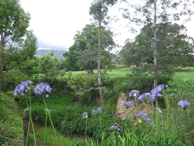 9 Gibsonville Street, Tallebudgera Valley QLD 4228