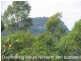 Ninderry QLD 4561