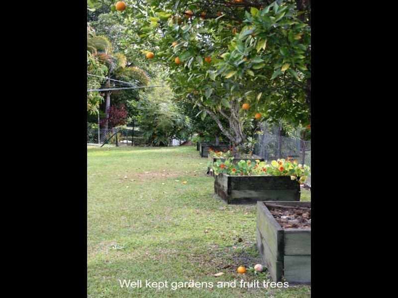 Yandina QLD 4561
