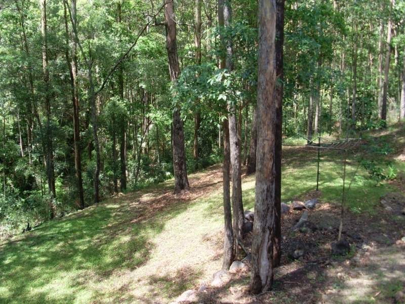 Yandina QLD 4561