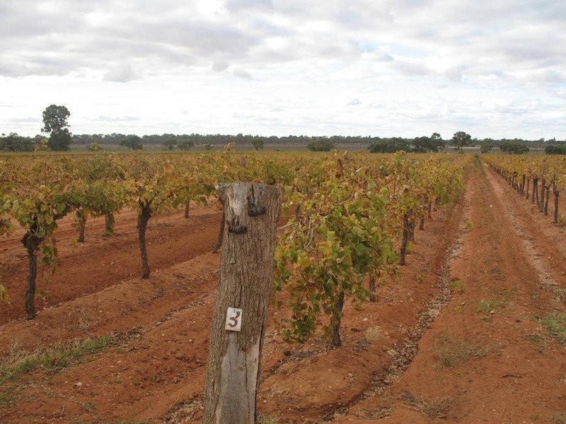 139 Cureton Ave, Nichols Point VIC 3501