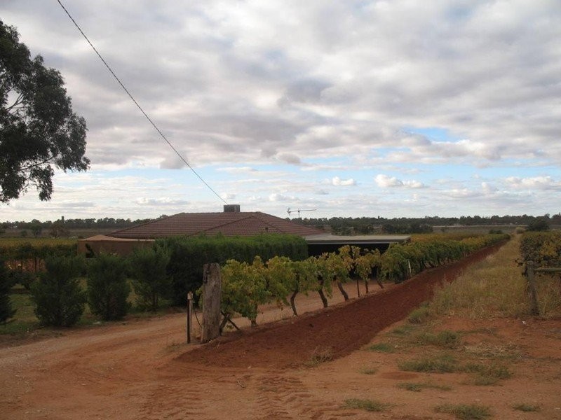 139 Cureton Ave, Nichols Point VIC 3501