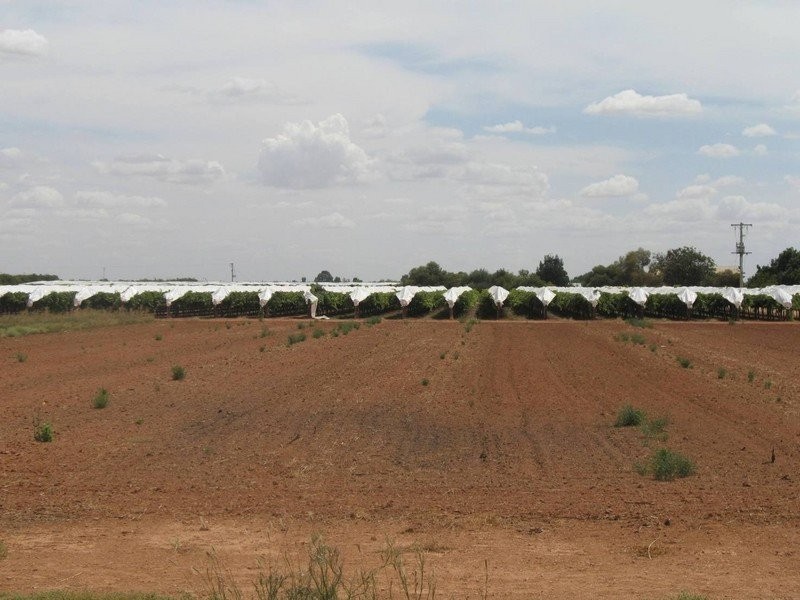 Lot 3 Belar Avenue, Irymple VIC 3498